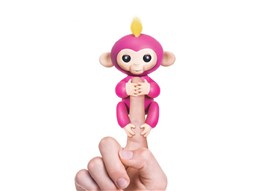 میمون بند انگشتی